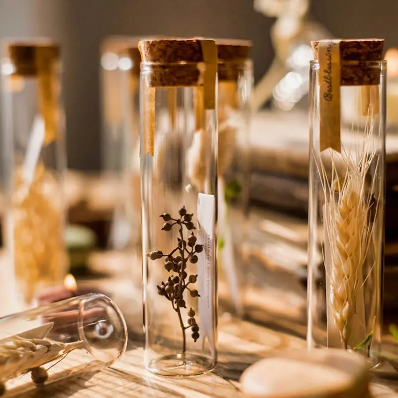 Ваза для террариума