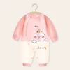 Pink rabbit