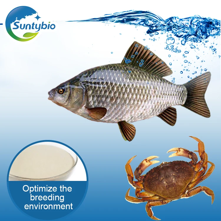 Animal Feed Grade Probiotics Enterococcus Faecium Powder Additives in China