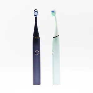 OEM Manufacturer Private logo Intelligent Rechargeable Sonic Electric Tooth Brush with Five Speed Modes