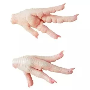 IMPORT/EXPORT Frozen Chicken Feet / Frozen Chicken Paw AT Wholesale Best Quality .