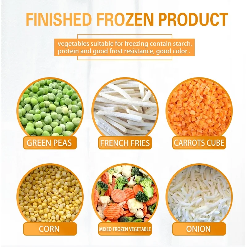 TCA  Automatic Vegetable and Fruit IQF Freezing Line Frozen Sweet Corn and Green Peas Production Line