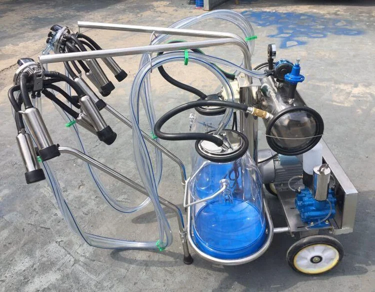 Вакуумный насос двойной корова доильный аппарат