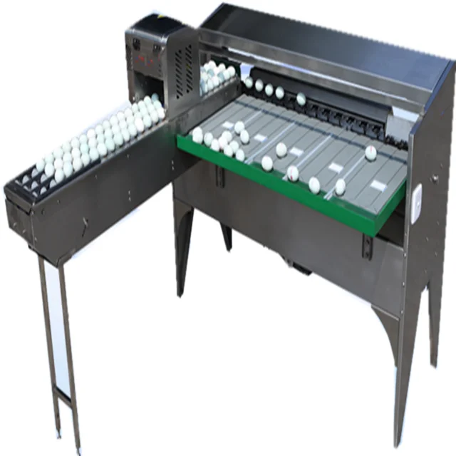 Brand New Automatic Egg Sorting Machine