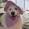 Purple plaid hat