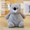 #13 koala