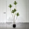 Artificial Four Heads Curved Dracaena Plant with Pot (1.2M)