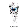 Xqb-1243