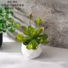 CF02248 Verde
