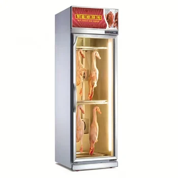 Aged Beef Ager Machine Meat Curing Cabinet Steak Age Fridge Dry Aging Refrigerator for Duck Beef