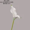 White-green