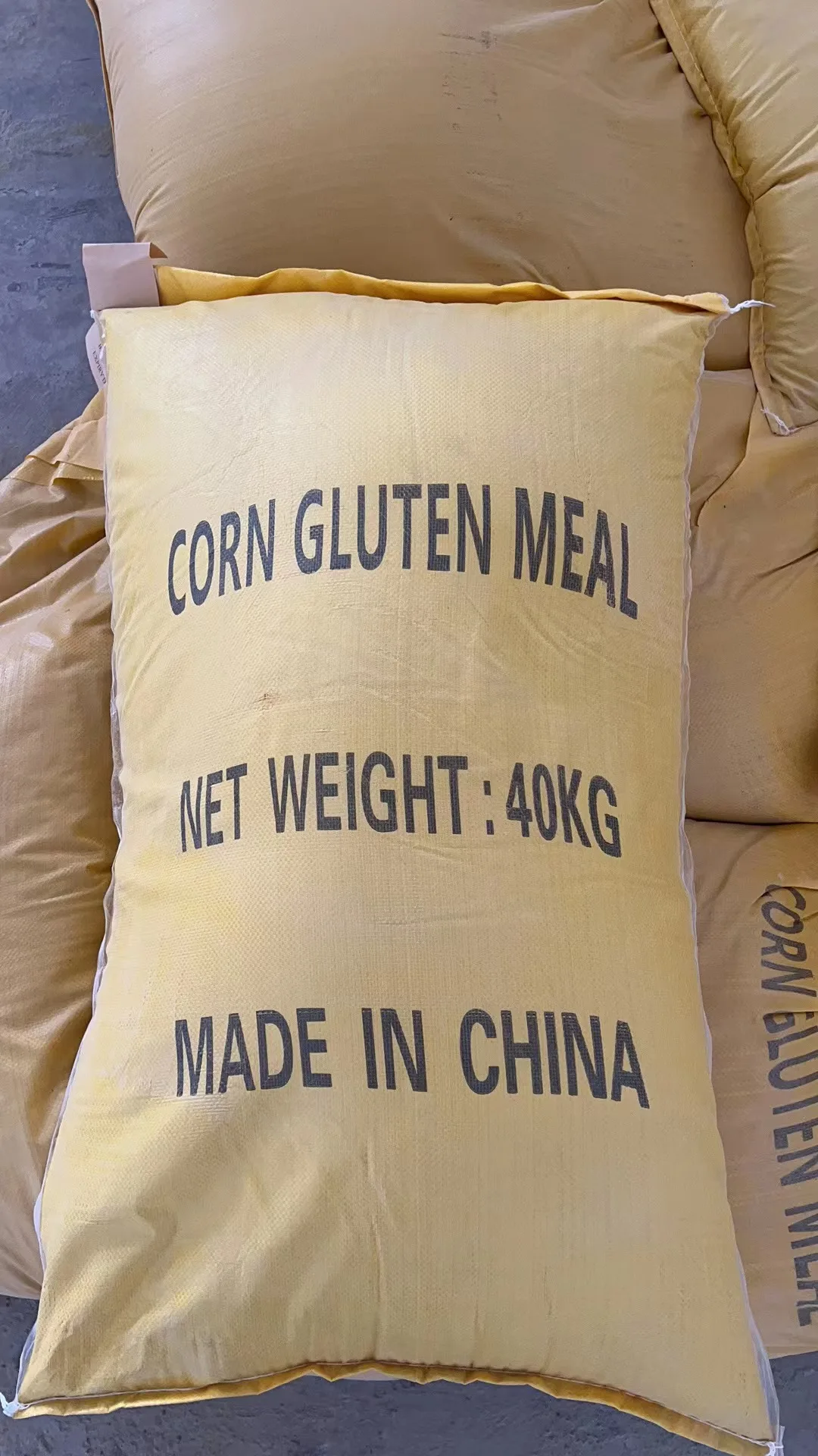 Cheap Corn Gluten Feed Bulk Yellow Maize Corn Chicken Meal Feed Corn