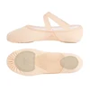 Ballet Pink Mesh