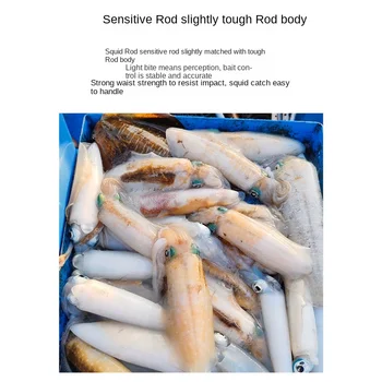 CHEERY ML Squid Rod Fishing Cuttlefish Squid Carbon Rod Slightly High Carbon Light Boat Fishing Rod 2 Sections Hard Cross – Hard Lure – view 3
