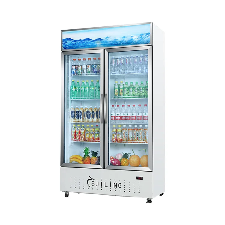 販売商業冷蔵庫ガラス2ドアスタンディングフリーザー飲料チラー