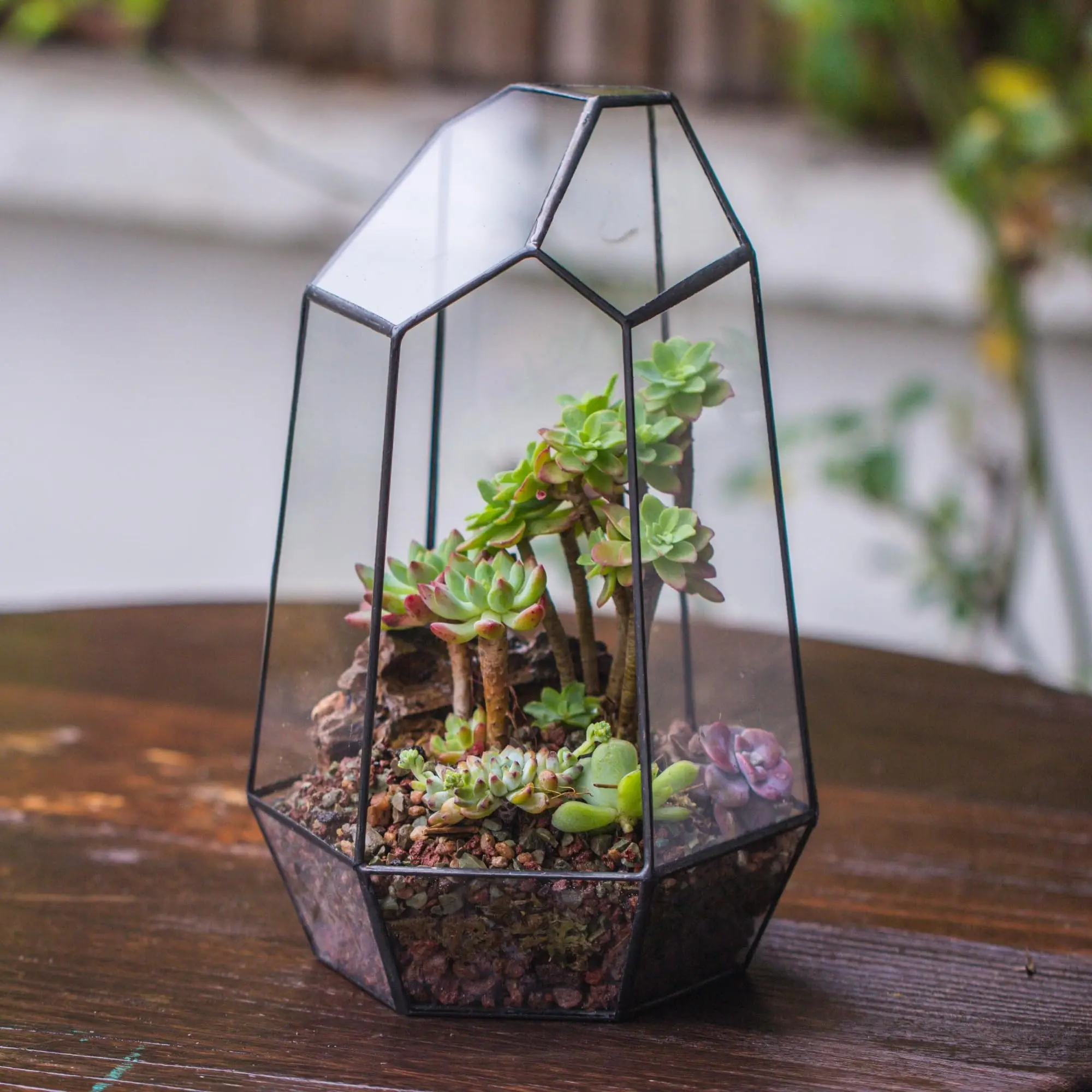 Art Deco-Inspired Table Top Plant Terrarium Wooden Frame Light Bulb Glass Vase Metal Rotating Stand Retro Hydroponics Design