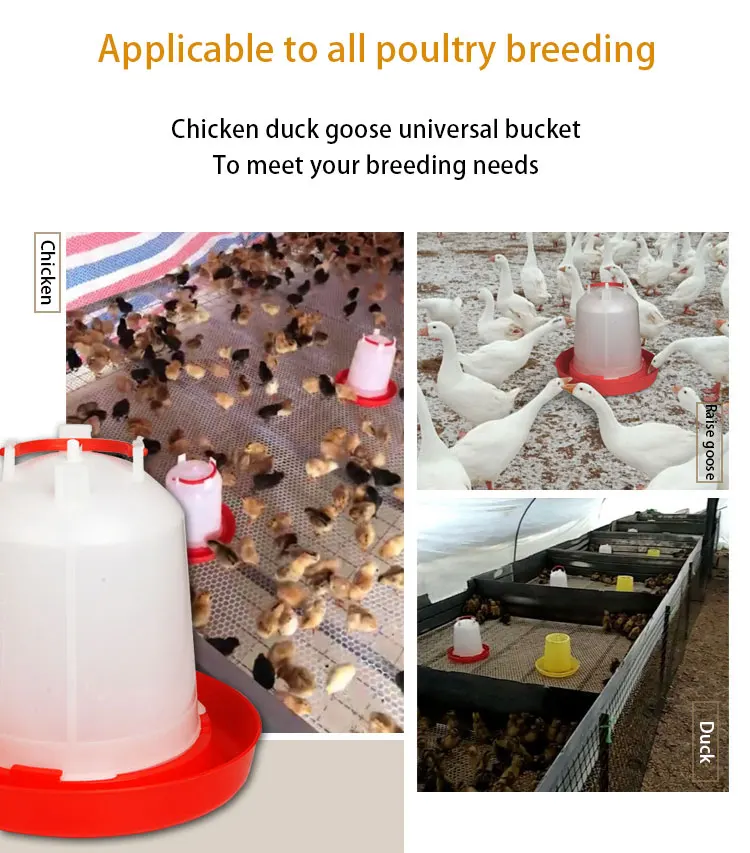 Poultry Automatic Animal Water Drinker PP Chicken Drinker Bucket For Chicken