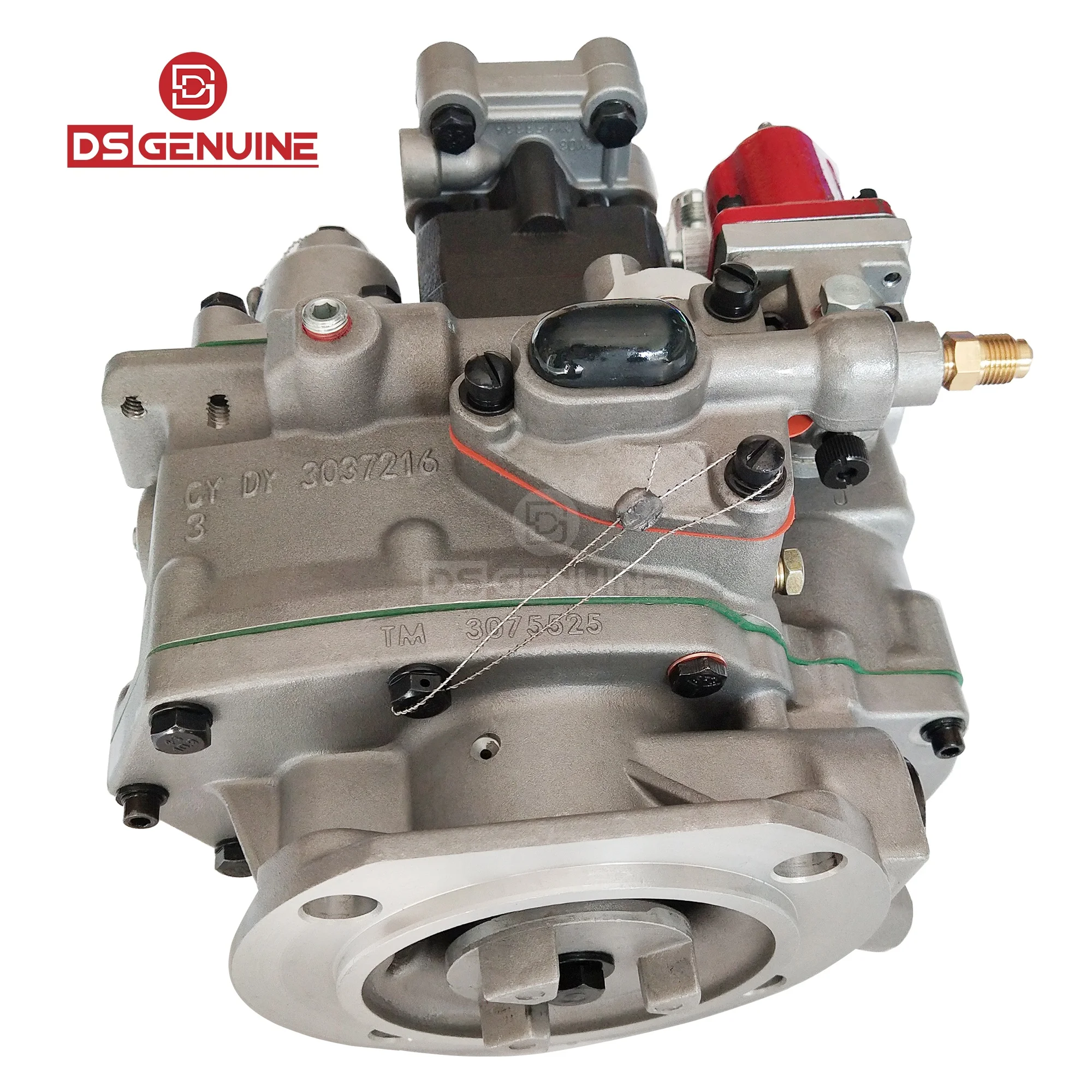 Original new diesel parts NT855 pt fuel pump 3095557| Alibaba.com 