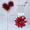 Three-headed Claw Chrysanthemum YYS Wine Red