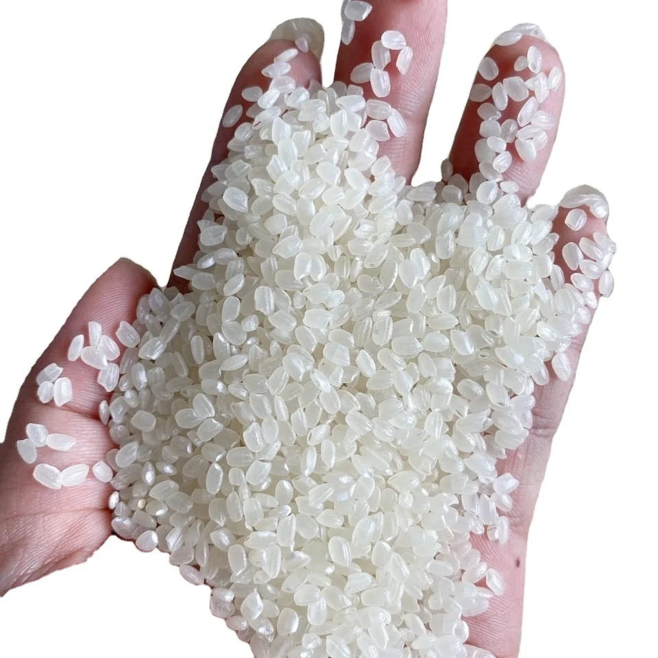 japonica rice / short grain round rice / calrose rice