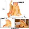 colorato PL127-3363 Gatto