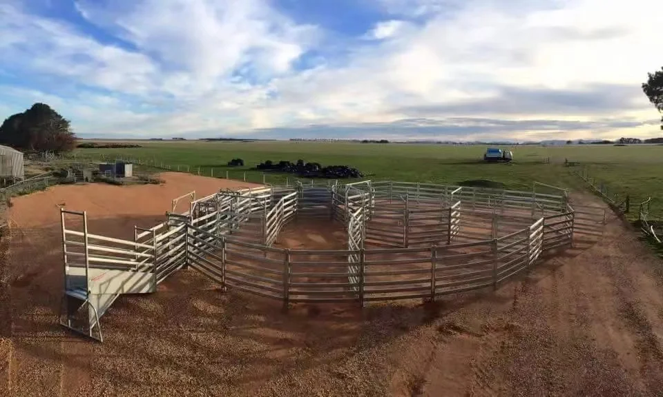 Round Pen Cattle Panels / Corral Panels / Livestock Panel For Ranch