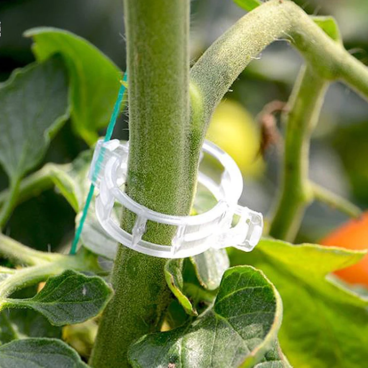 24mm White Color Round Plastic Tomato Clips Tomato Hooks Plant Lock ...