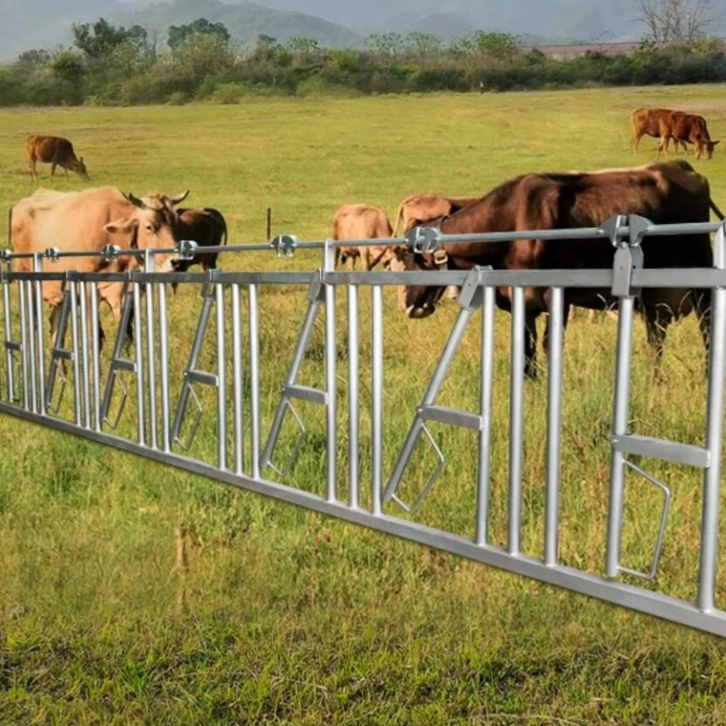 Alibaba.com: 6 Heads Cattle Headlock Cow Neck Clamp 6m Galvanized Lock ...