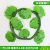 Small grape variety with 20 leaves (12 grapes)
