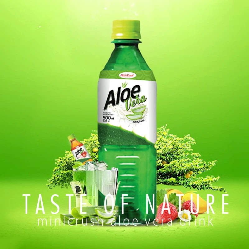 kleine aloe vera pflanze kaufen Aloe Vera Pflanze zur Hautpflege und Kosmetik