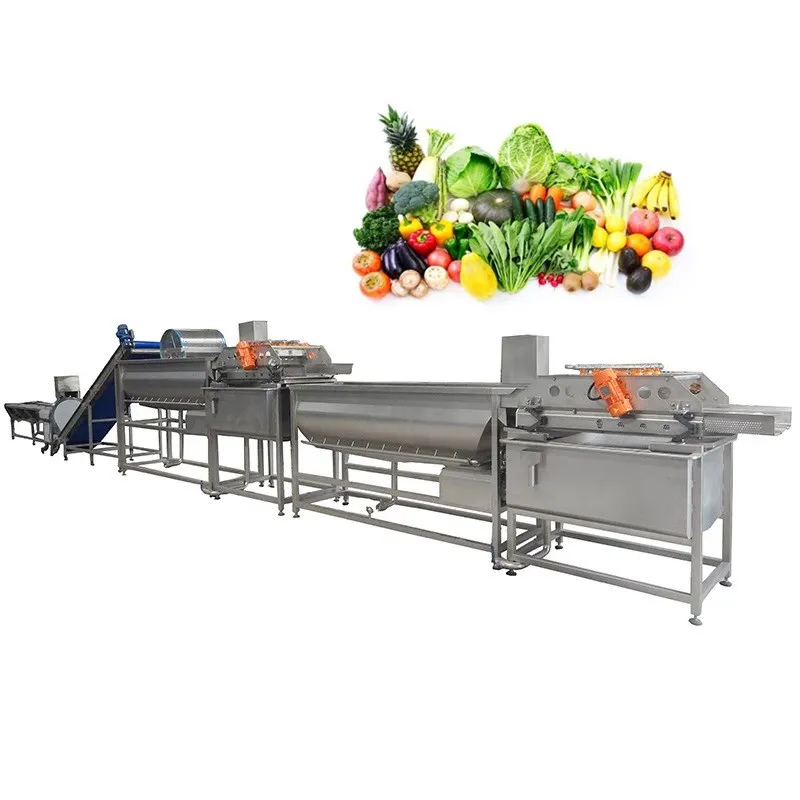 Industrial 1000kg/H Onion Cabbage Vegetable Washer Machine Fruit