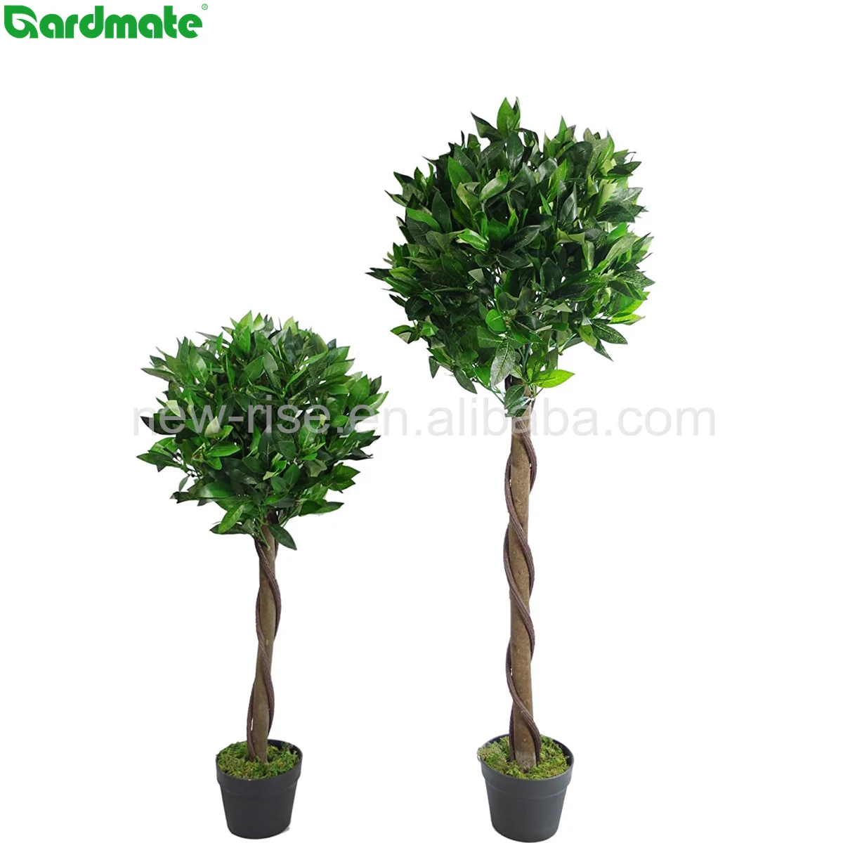Pair of 120cm (4ft) Plain Stem Artificial Topiary Bay Laurel Ball Trees