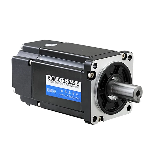 Custom Robot Sex Servo Motor 12v 24v 100w 300w 500w 600w 3000rpm Brushless DC Servo Motor With Encoder for Fire Fighting Robot