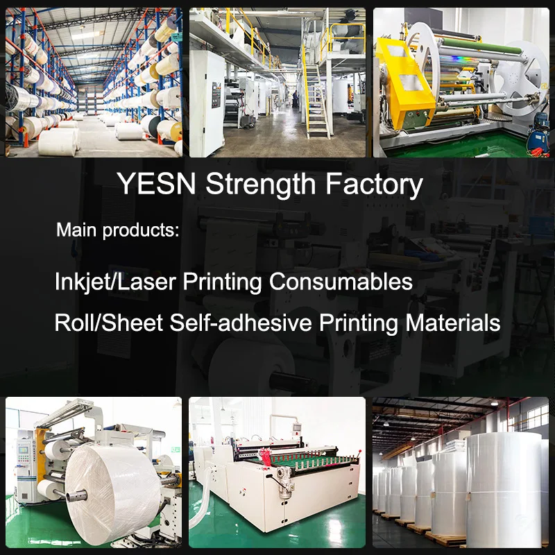 Custom Self-Adhesive PET Synthetic Thermal Label Film Vinyl Sticker Waterproof Printed Logo Barcode for Packaging Promotions