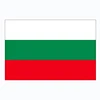 Belarus Flag