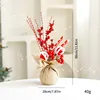 Pomme rouge et blanche