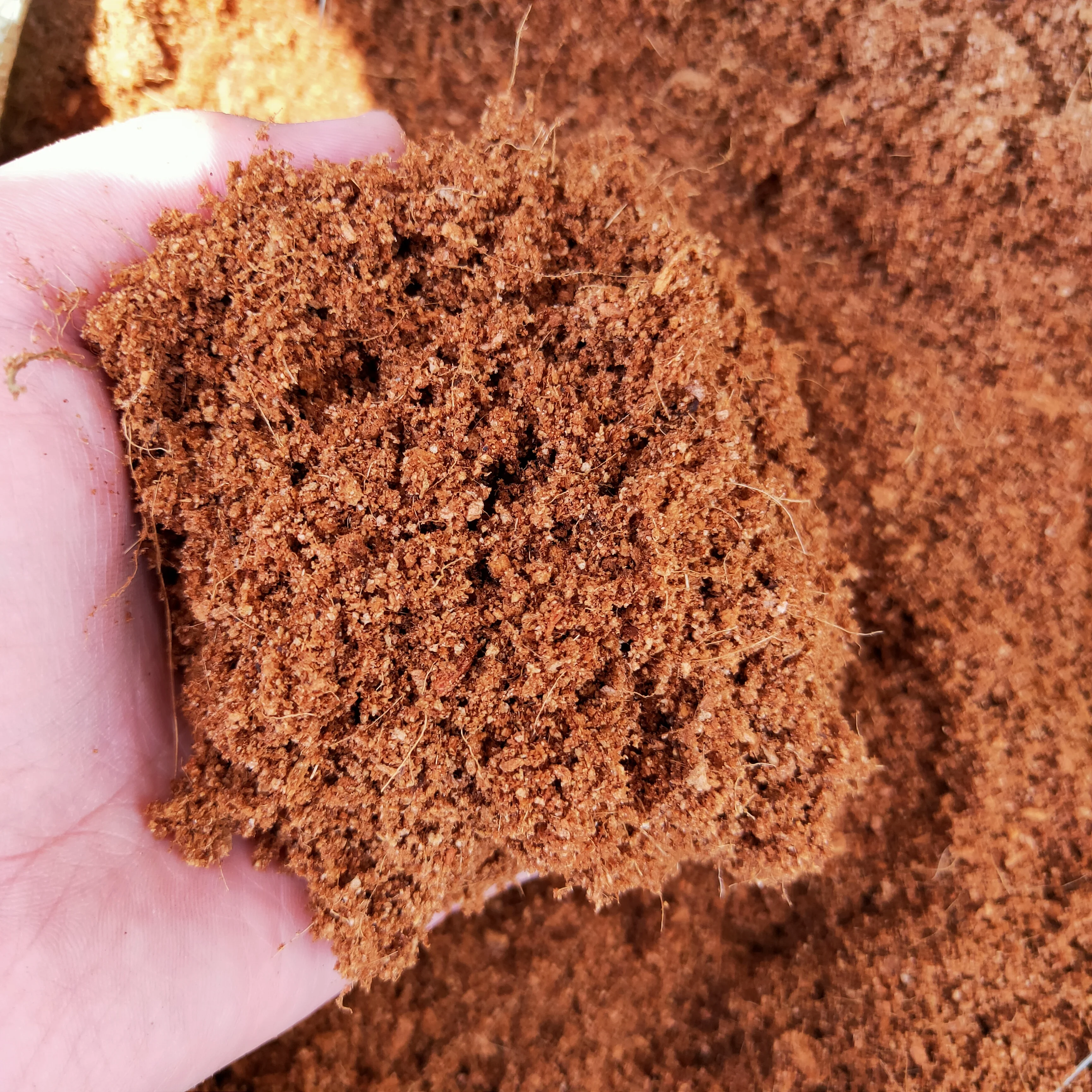 Bulk Coconut Fiber Buyer Dewatering Cocopeat Block 5kg Low ec Uncompressed Coco Coir Peat Brick Growing Plant Price for Sale