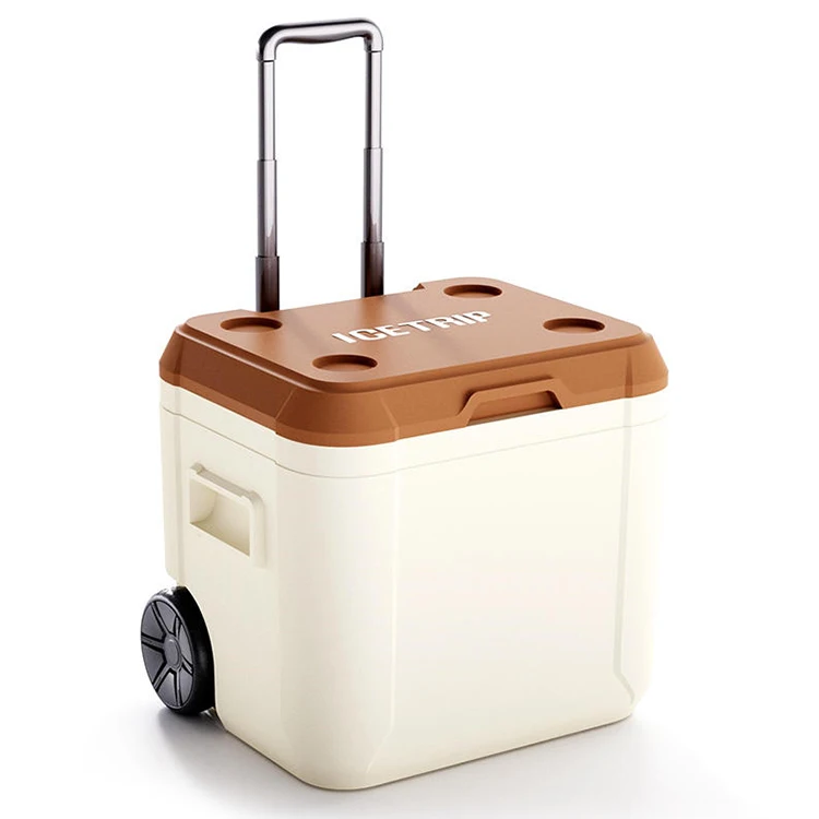 Fish Cooler Cold Box Large Igloo Coolers Portable Outdoor Picnic 52L Coolerbox