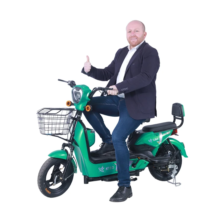 Ebike 車体　Yuki専用 12-5ah-250W-Li-ion-Battery-