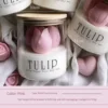 Tasse tulipe rose ciré
