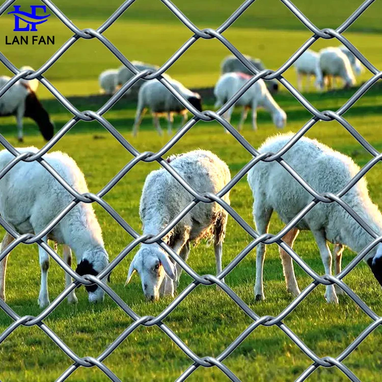 คุณภาพสูง 6 ฟุต 8 ชุบสังกะสีรั้ว Link Chain สำหรับสวนและกีฬา 12 Gauge Batting กรง chain Link รั้ว