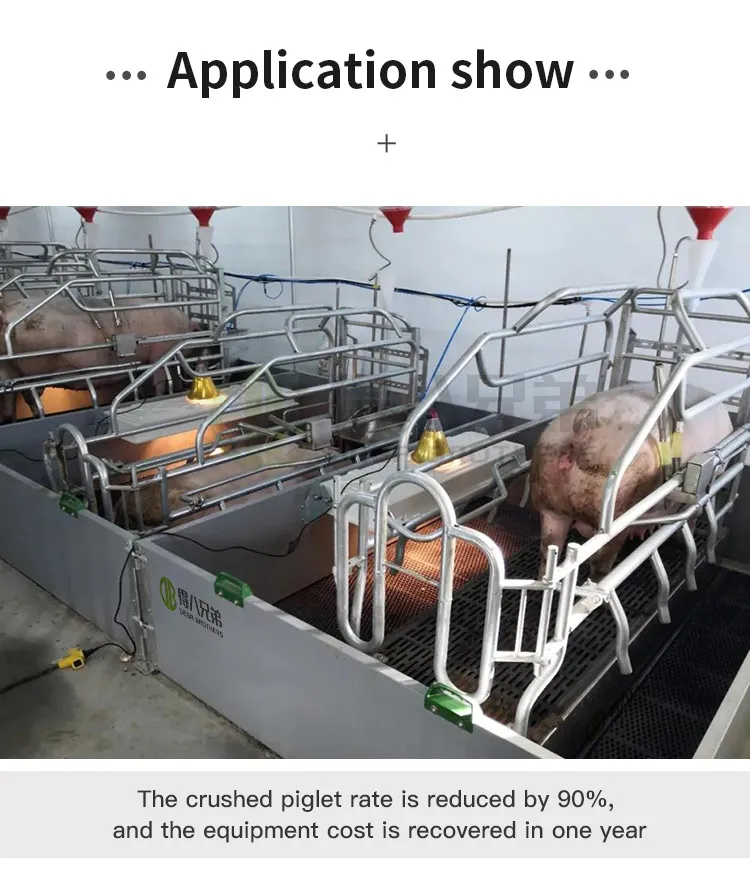 Pig Farm Life Farrowing Crate Pig Farrowing Pen Birthing Cage Direct