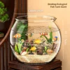 Acquario rotondo gigante - ideale per l'acquascaping fai-da-te
