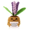 Purple Lavender