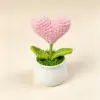 Pink Heart small pot plant