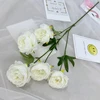 Blanco 2