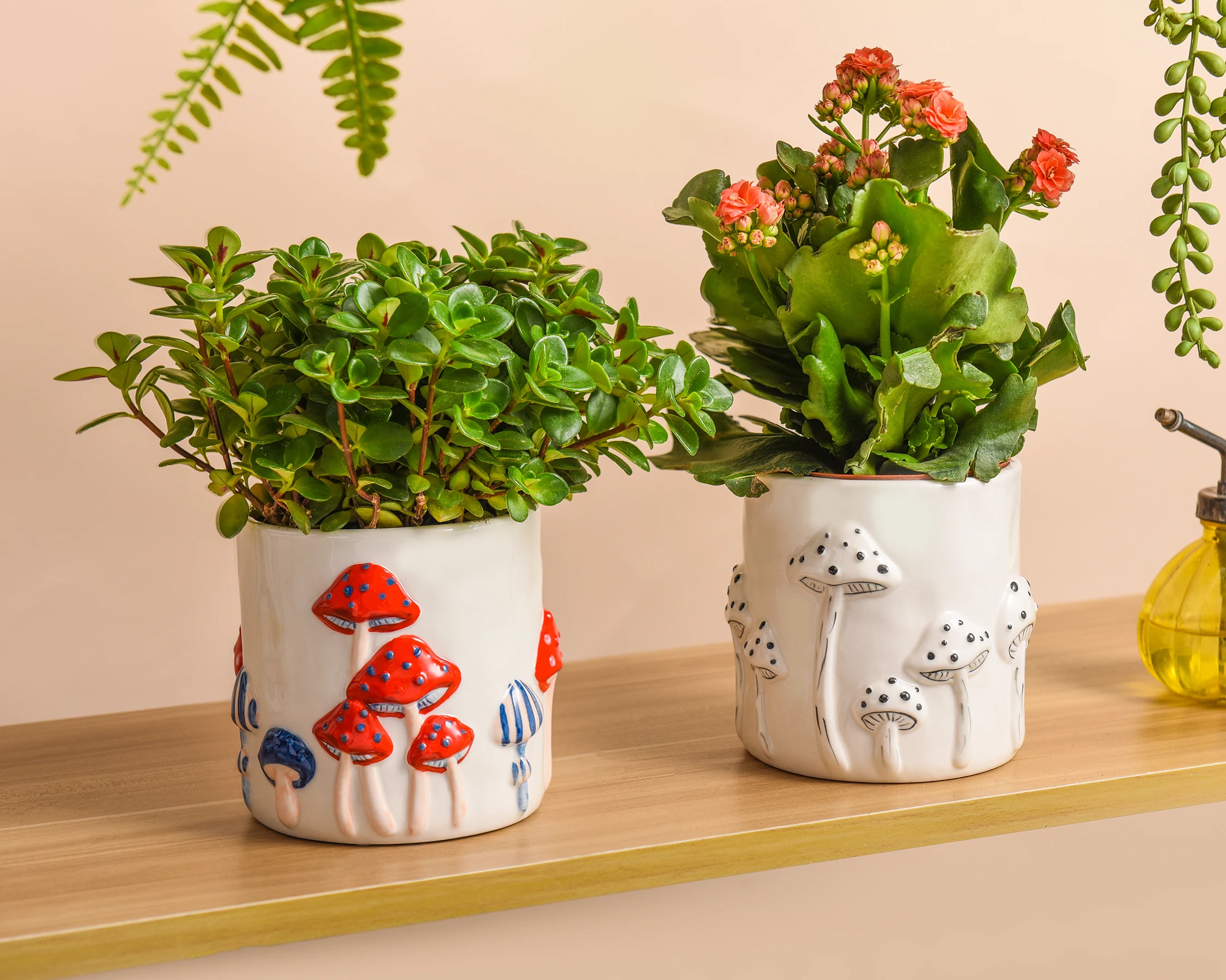 Cute Unique Succulent 5 Inch Colorful Mushroom Ceramic Planter Pot for  Indoor Outdoor Garden Flower Plants with Drainage| Alibaba.com