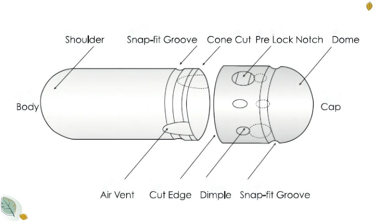 Hard Empty Capsule YUEXI Hard Empty Gelatin Capsules Manufacturers In India Normally Purchase Ingredients From China