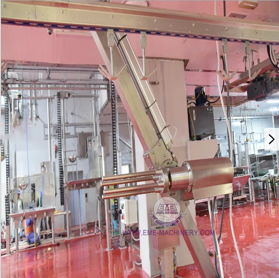 Complete Halal Mutton Slaughter Line Price Sheep Abattoir Dehiding Equipment Goat Slaughtering Machine of Lamb Slaughterhouse
