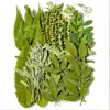 Green 02, 35pcs/pack